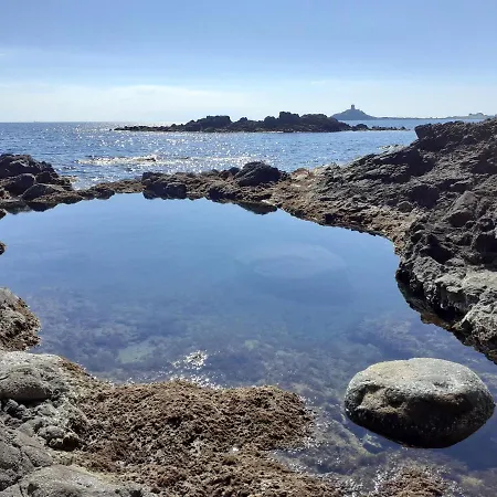 아파트 Ginestre38